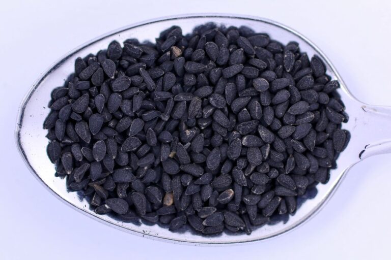 Черни семена на черен кимион (Nigella sativa) в метална лъжица на светъл фон.